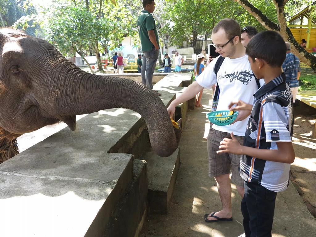 Suwani Pinnawala Homestay ภายนอก รูปภาพ