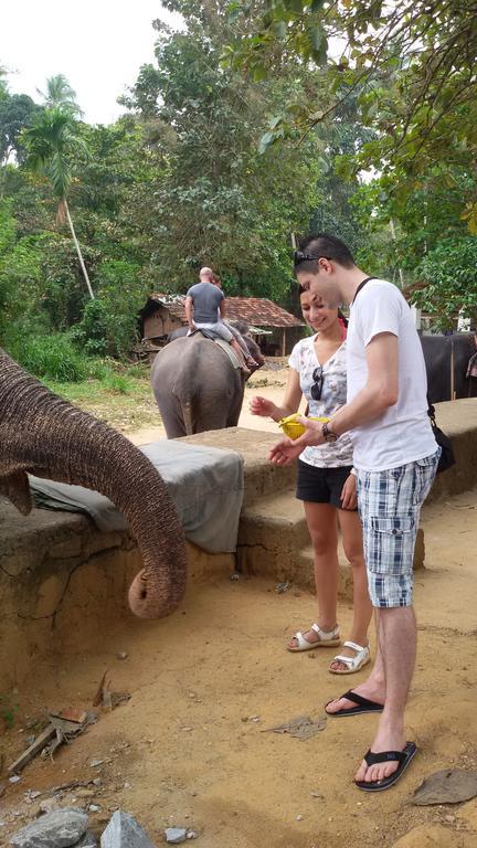 Suwani Pinnawala Homestay ภายนอก รูปภาพ