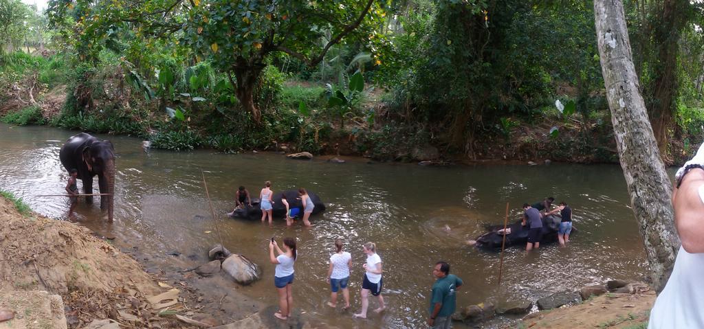 Suwani Pinnawala Homestay ภายนอก รูปภาพ
