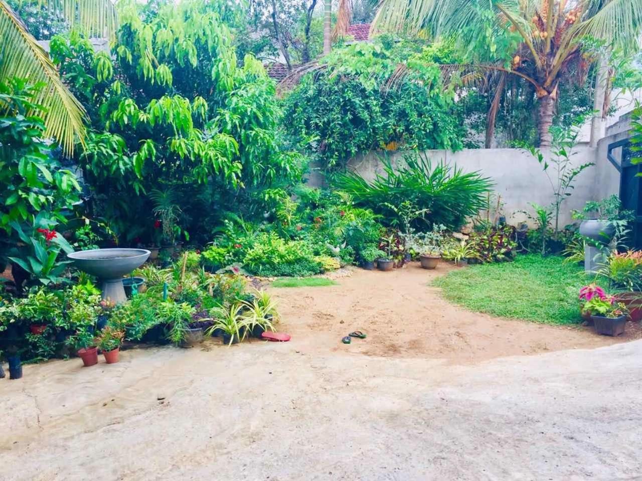 Suwani Pinnawala Homestay ภายนอก รูปภาพ